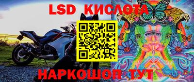 ГАЛЛЮЦИНОГЕННЫЕ ГРИБЫ Канаш