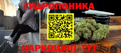 ГАЛЛЮЦИНОГЕННЫЕ ГРИБЫ Канаш